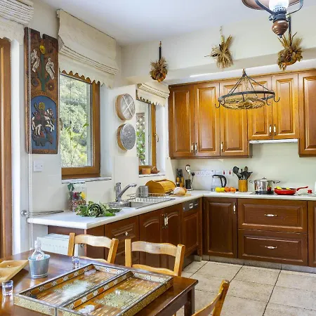 Troodos Riverside Villa Kato Amiandos