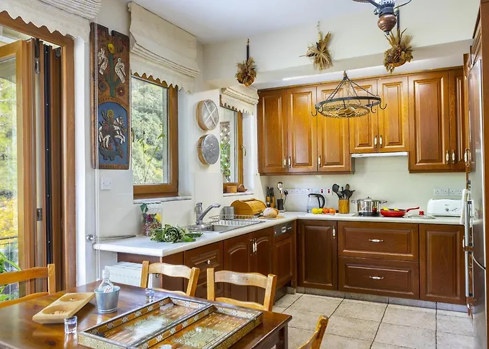 Troodos Riverside Villa Kato Amiandos